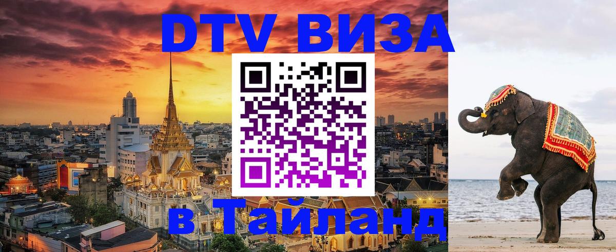 Сколько стоит DTV виза — актуальные цены, оформление даже без документов - 07.01.2026 
